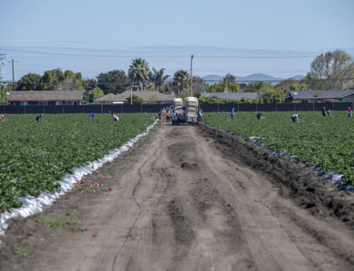 Farmworkers are Essential – CA Growers are pushing against potential federal farmworker pay cut