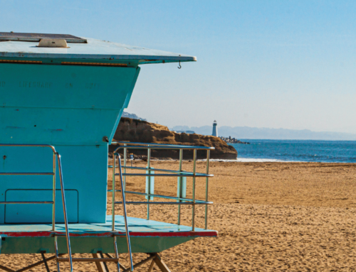 Trump Plans to Honor California Lifeguard After Dramatic Ocean Rescue
